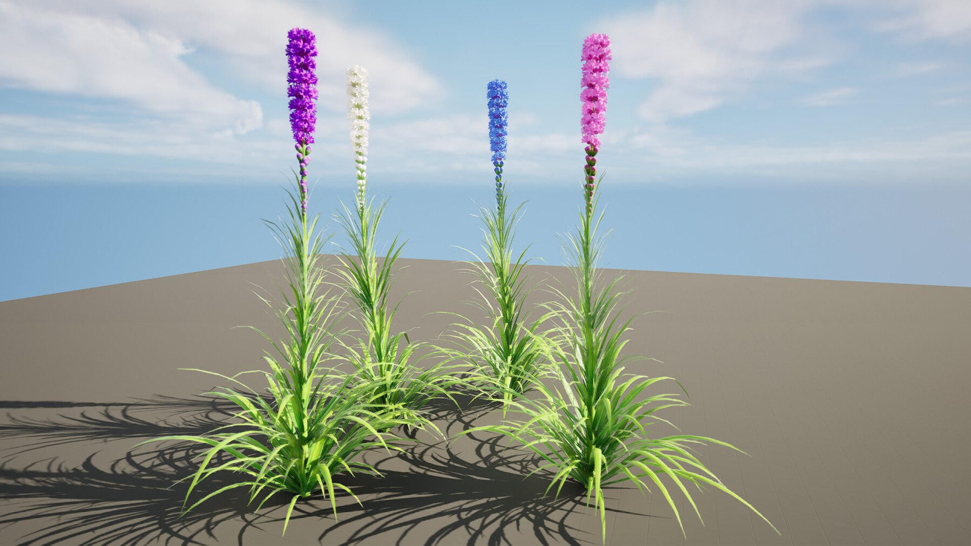 3D 106 North American Plants Wildflowers Shrubs  Vines Pack https://p.turbosquid.com/ts-thumb/LY/48xJ73/D9/realisticandoptimizedblazingstarflowers4/jpg/1786369004/1920x1080/fit_q87/0028be9119c5704c0ae8ef8b42dfc2e4a1980aad/realisticandoptimizedblazingstarflowers4.jpg