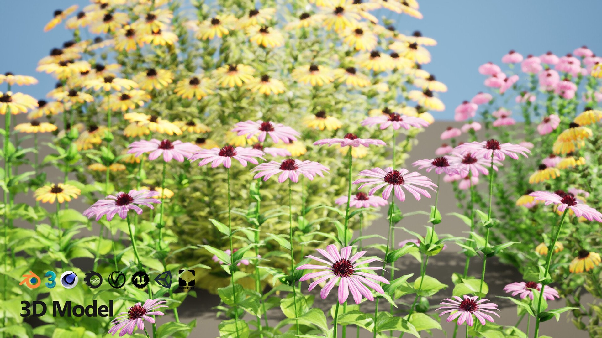 3D 106 North American Plants Wildflowers Shrubs  Vines Pack https://p.turbosquid.com/ts-thumb/LY/48xJ73/EL/coneflowersandblackeyedsusans8/jpg/1786368990/1920x1080/fit_q87/6002cec1b8373a4f8a46c48390437b55ffd1466f/coneflowersandblackeyedsusans8.jpg