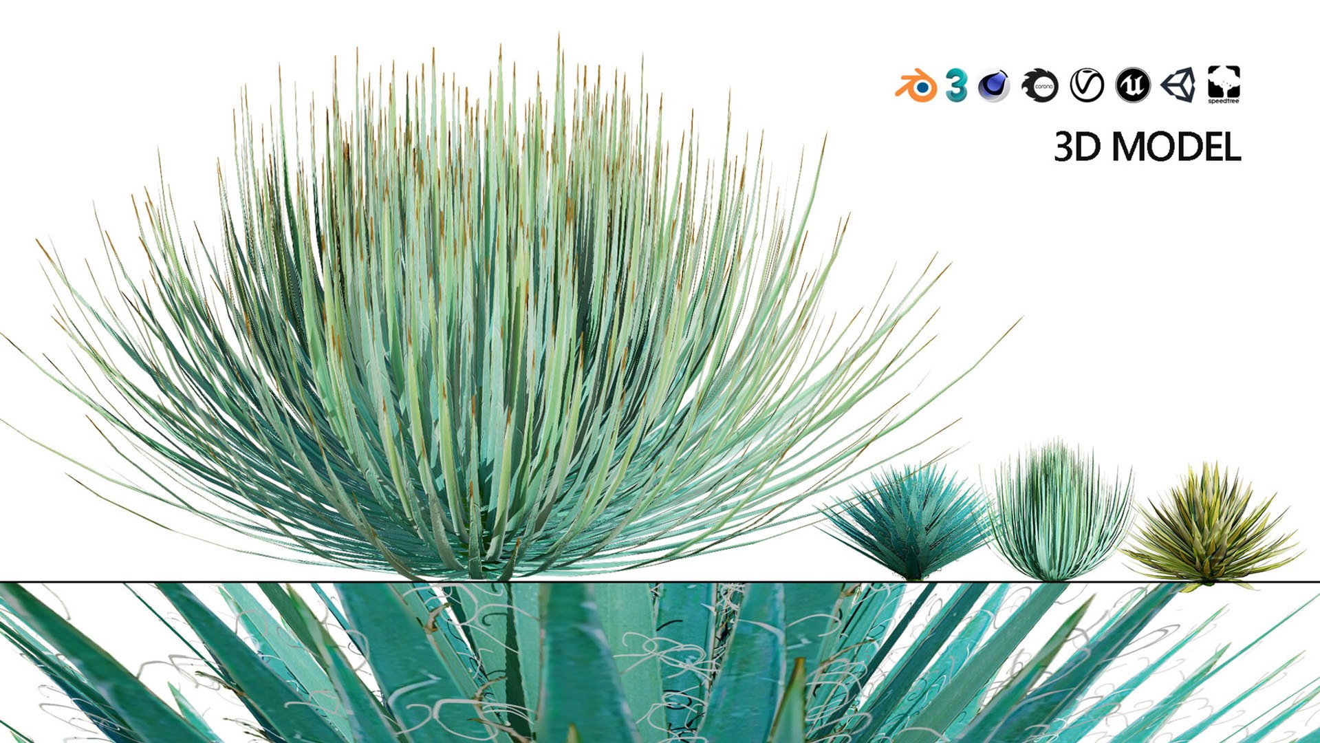 3D 106 North American Plants Wildflowers Shrubs  Vines Pack https://p.turbosquid.com/ts-thumb/LY/48xJ73/Ii/yuccagloriosa4/jpg/1786369005/1920x1080/fit_q87/afb6738b1a39947be0023500f12db2c4f5414998/yuccagloriosa4.jpg