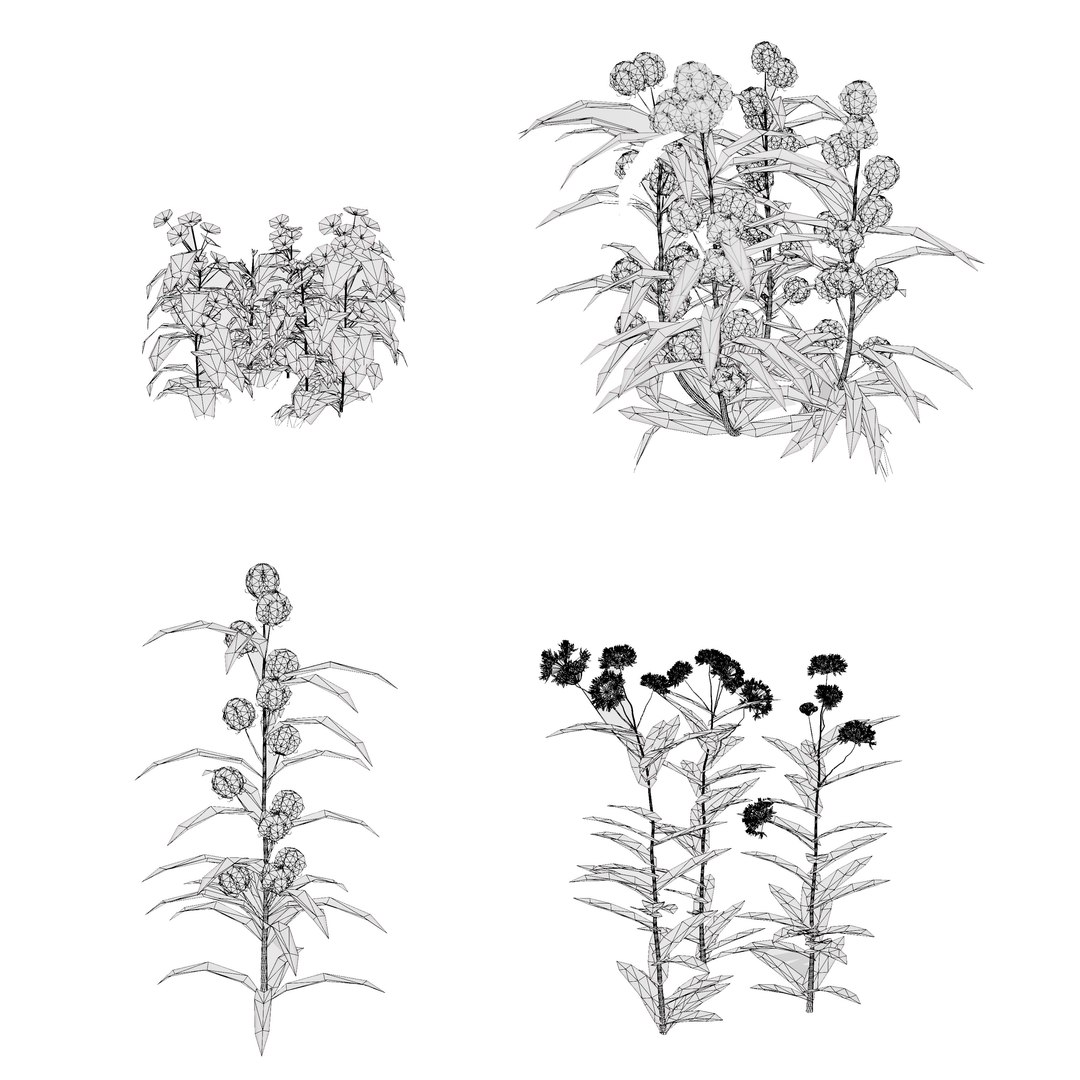 3D 106 North American Plants Wildflowers Shrubs  Vines Pack https://p.turbosquid.com/ts-thumb/LY/48xJ73/Kz/northamericanmilkweedscollectionv062/jpg/1786369019/1920x1080/fit_q87/087dfe26d60121fd25d528ecbb69985d9a07af54/northamericanmilkweedscollectionv062.jpg