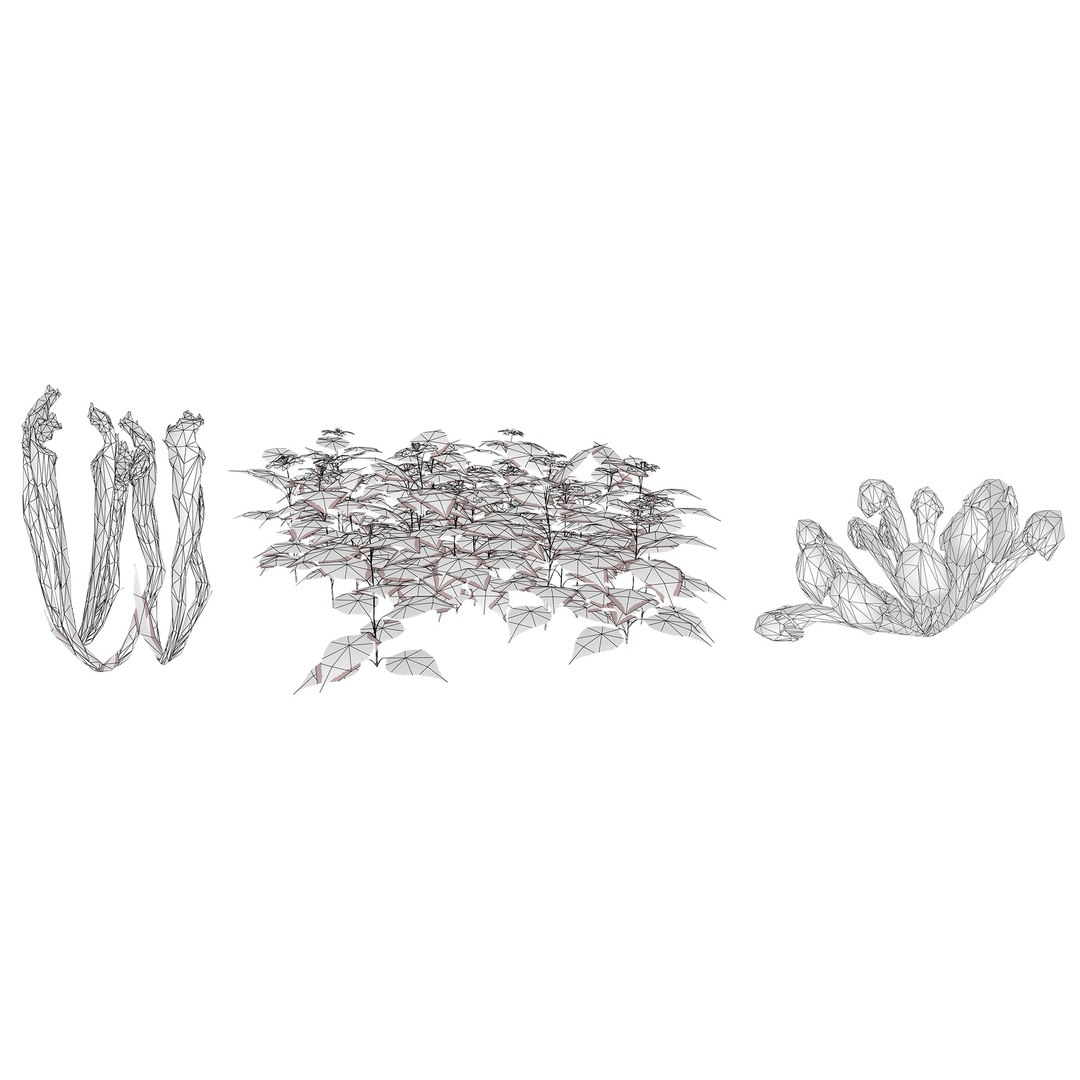 3D 106 North American Plants Wildflowers Shrubs  Vines Pack https://p.turbosquid.com/ts-thumb/LY/48xJ73/NQ/northamericanspeciesset2/jpg/1786369023/1920x1080/fit_q87/10b59b3f45e0890fab90cad517b0f45b72b50ed8/northamericanspeciesset2.jpg