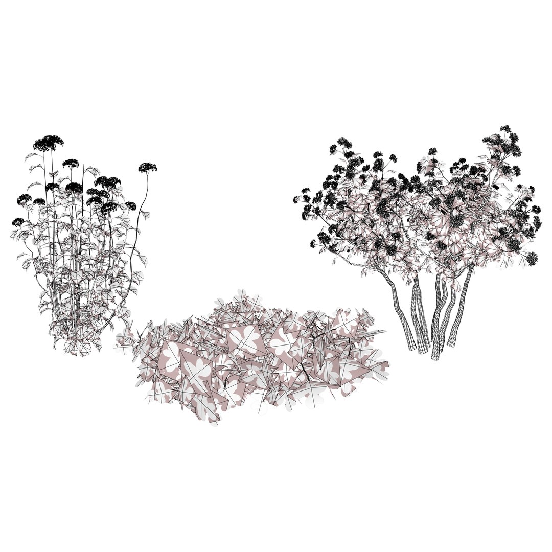 3D 106 North American Plants Wildflowers Shrubs  Vines Pack https://p.turbosquid.com/ts-thumb/LY/48xJ73/Q3/northamericanshrubs3dmodelcollection2/jpg/1786369023/1920x1080/fit_q87/2c59407e8fec6660e57b42326baf0791dc1302f9/northamericanshrubs3dmodelcollection2.jpg