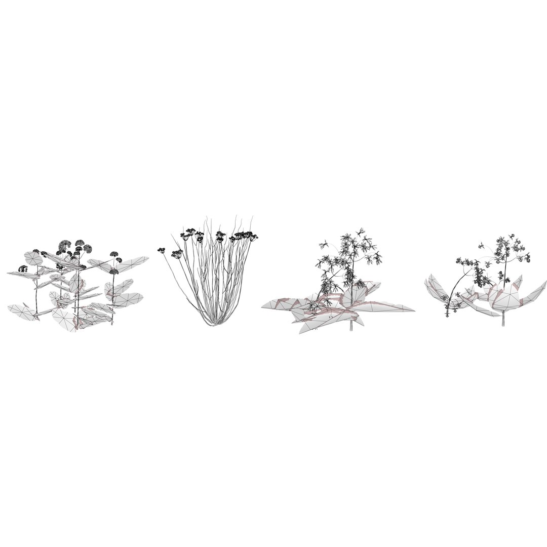 3D 106 North American Plants Wildflowers Shrubs  Vines Pack https://p.turbosquid.com/ts-thumb/LY/48xJ73/Tr/northamericanmilkweedsv05pack3/jpg/1786369023/1920x1080/fit_q87/9373391955c6468be03685473f244d306b6db710/northamericanmilkweedsv05pack3.jpg