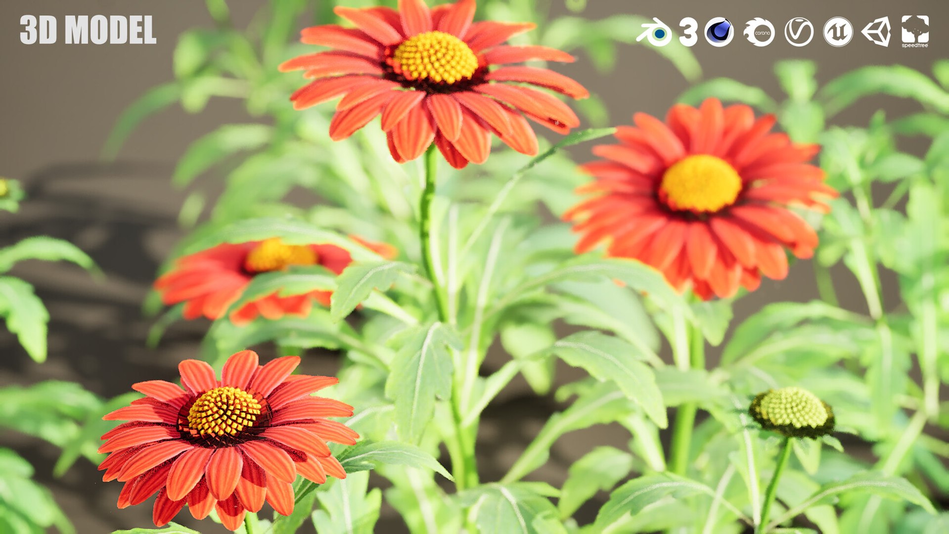 3D 106 North American Plants Wildflowers Shrubs  Vines Pack https://p.turbosquid.com/ts-thumb/LY/48xJ73/Ub/arizonaredshadesblanketflowers7/jpg/1786368987/1920x1080/fit_q87/f09d04d867070566db222af99772a2ea0153667b/arizonaredshadesblanketflowers7.jpg