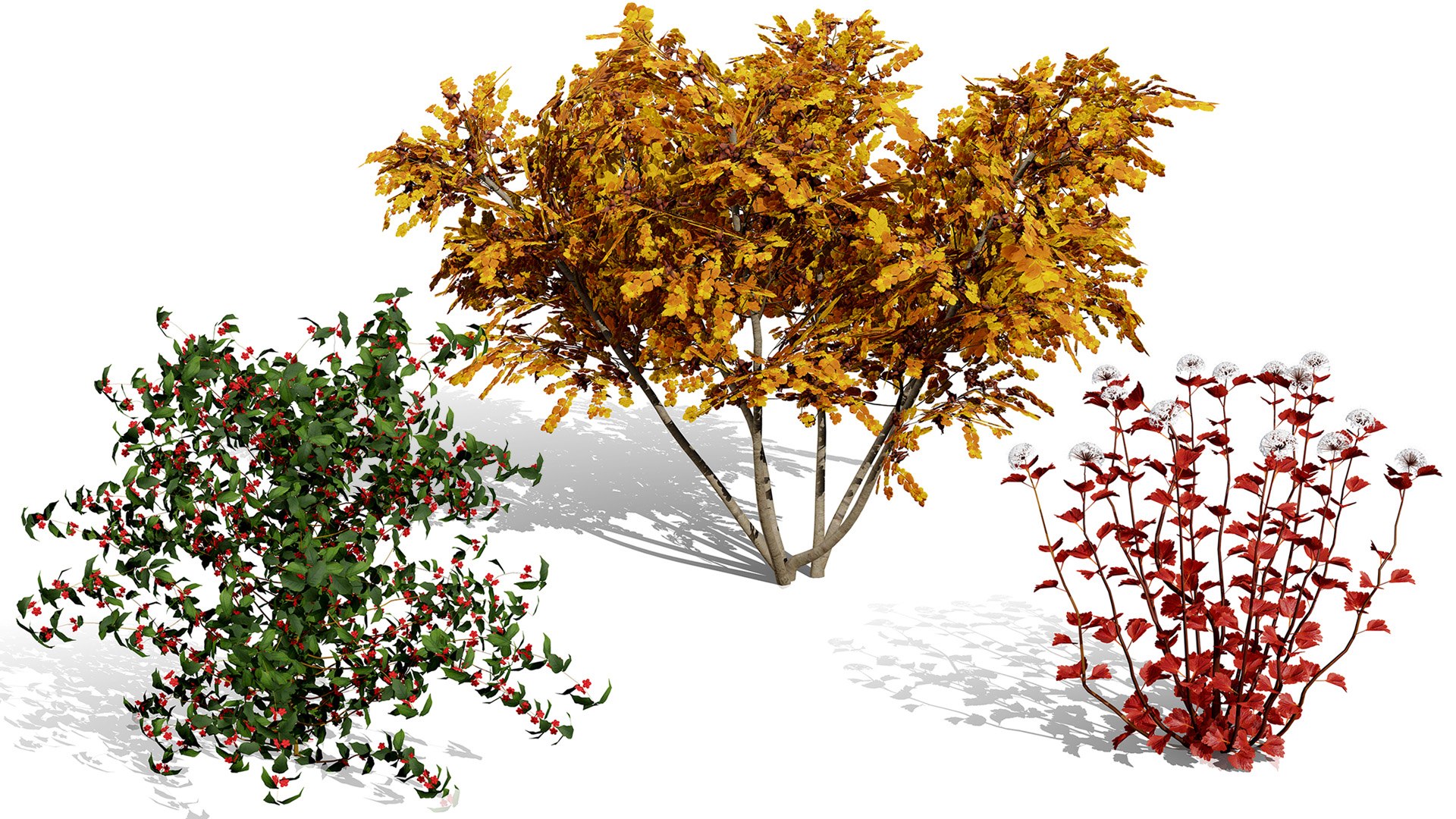3D 106 North American Plants Wildflowers Shrubs  Vines Pack https://p.turbosquid.com/ts-thumb/LY/48xJ73/XL/northamericanshrubs241/jpg/1786368997/1920x1080/fit_q87/160eb6a158d916d78cb466dd8b03a011f2926ed0/northamericanshrubs241.jpg