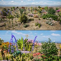 106 North American Plants Wildflowers Shrubs  Vines Pack