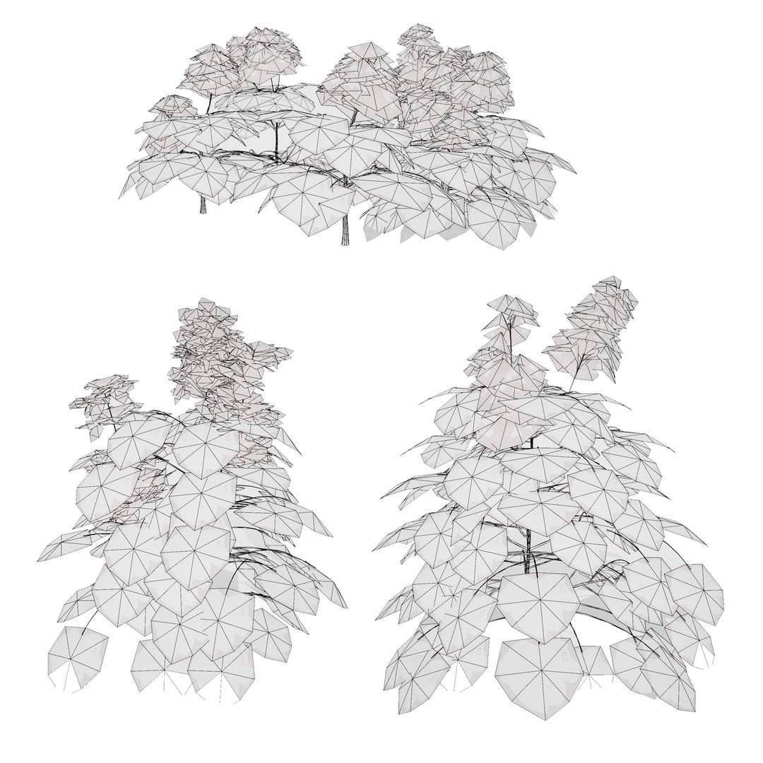3D 106 North American Plants Wildflowers Shrubs  Vines Pack https://p.turbosquid.com/ts-thumb/LY/48xJ73/ck/heucheramicranthaperennialplantcollection2/jpg/1786369015/1920x1080/fit_q87/fe300ca9542939cd7bef107c357877cb9ffa55f2/heucheramicranthaperennialplantcollection2.jpg