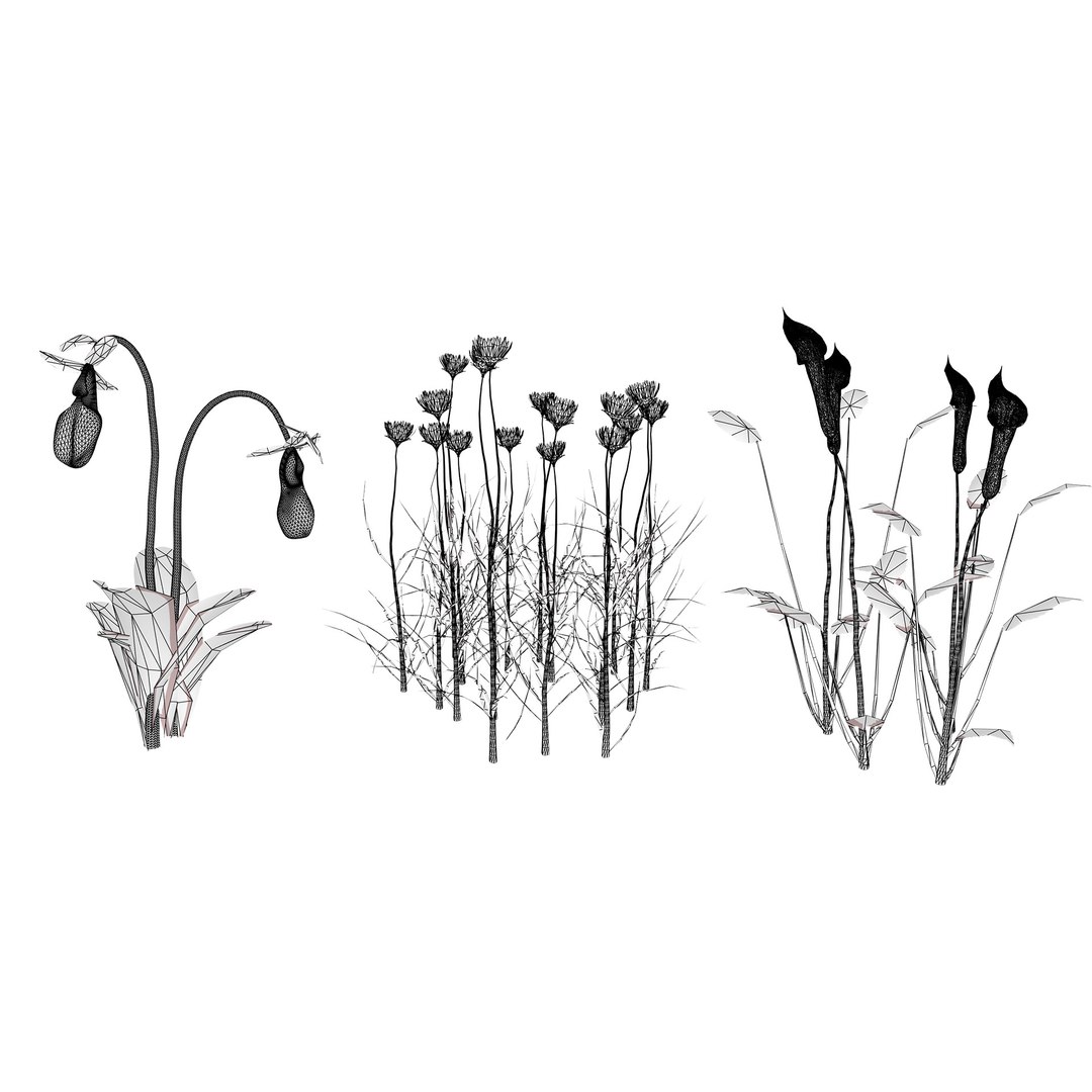3D 106 North American Plants Wildflowers Shrubs  Vines Pack https://p.turbosquid.com/ts-thumb/LY/48xJ73/cu/northamericanwildflowers4/jpg/1786369024/1920x1080/fit_q87/8b9a71b7bb81ece0a3949f0f345e7eaafa4511cf/northamericanwildflowers4.jpg