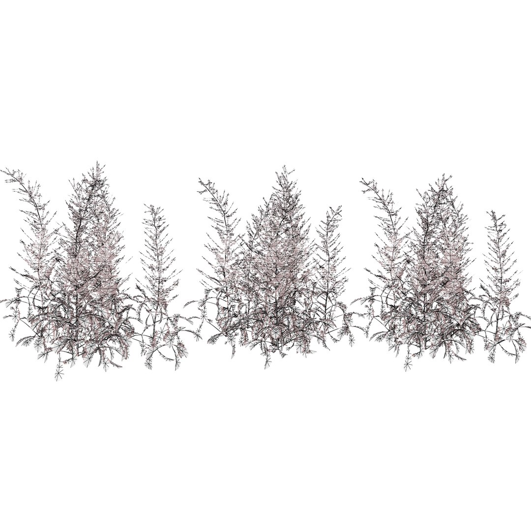 3D 106 North American Plants Wildflowers Shrubs  Vines Pack https://p.turbosquid.com/ts-thumb/LY/48xJ73/ei/henniegraaflandastilbe6/jpg/1786369015/1920x1080/fit_q87/77cf1c0603e60537312b9a29af2c4c9d11b8a223/henniegraaflandastilbe6.jpg