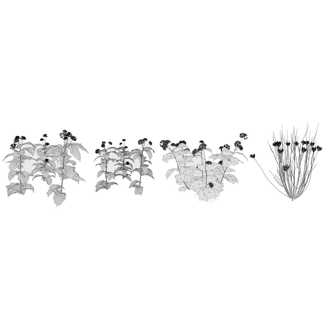 3D 106 North American Plants Wildflowers Shrubs  Vines Pack https://p.turbosquid.com/ts-thumb/LY/48xJ73/es/northamericanmilkweedsvol.043/jpg/1786369021/1920x1080/fit_q87/918b5a0833985bed36cab01982e01ebf2c50be77/northamericanmilkweedsvol.043.jpg