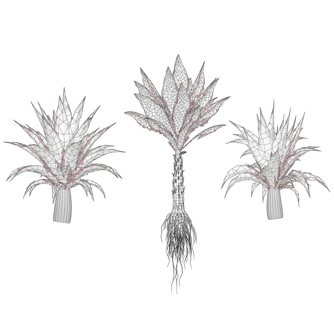 3D 106 North American Plants Wildflowers Shrubs  Vines Pack https://p.turbosquid.com/ts-thumb/LY/48xJ73/fd/wire/jpg/1786369028/1920x1080/fit_q87/e9763fc0926237b8ef2babc9d527eee50b7847f4/wire.jpg