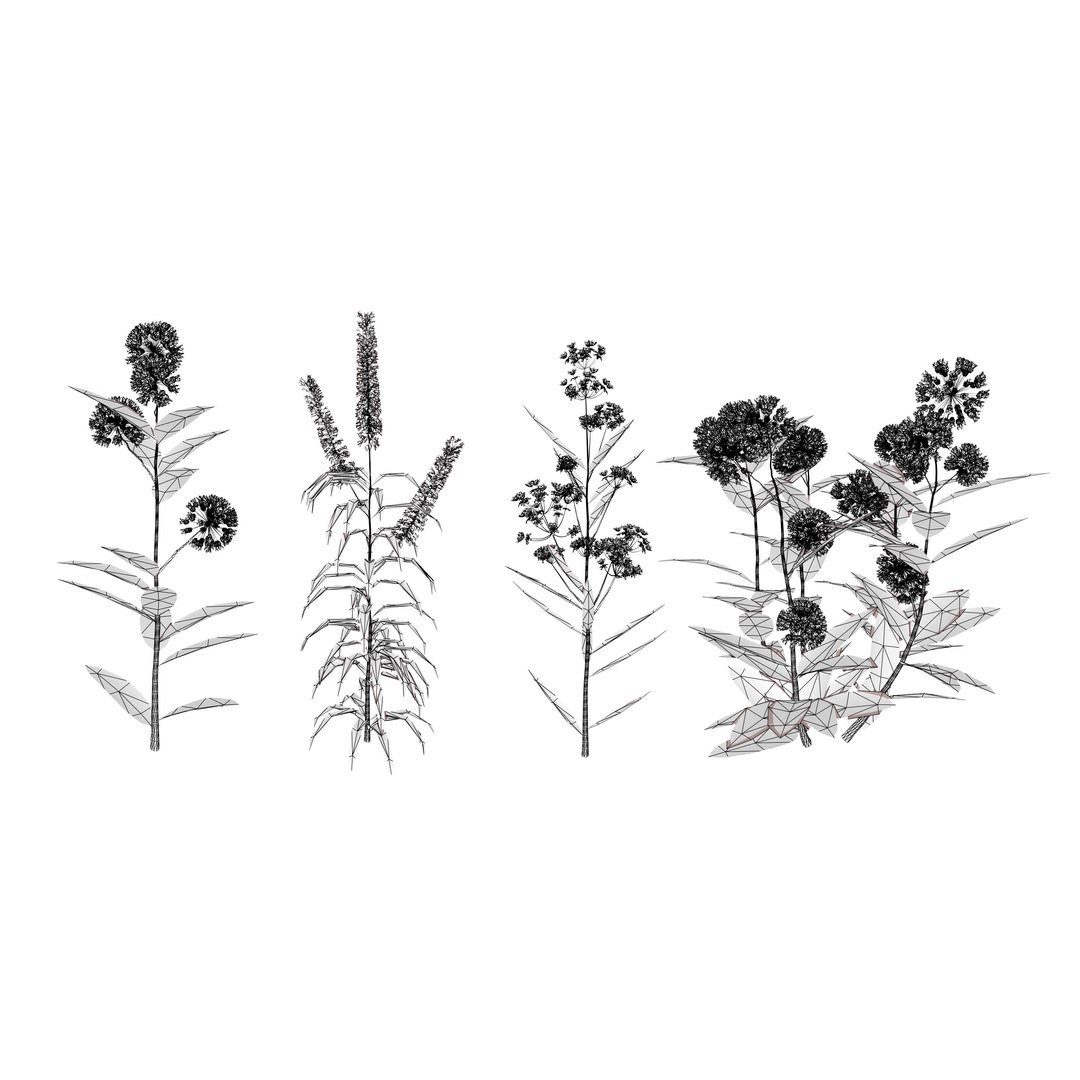 3D 106 North American Plants Wildflowers Shrubs  Vines Pack https://p.turbosquid.com/ts-thumb/LY/48xJ73/gv/northamericanmilkweedcollection2/jpg/1786369017/1920x1080/fit_q87/59102884126c19d75e18e75b53ba7649ff307c3a/northamericanmilkweedcollection2.jpg