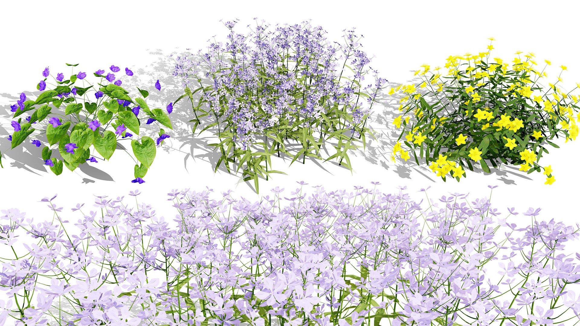 3D 106 North American Plants Wildflowers Shrubs  Vines Pack https://p.turbosquid.com/ts-thumb/LY/48xJ73/iL/northamericanspeciescollection1/jpg/1786369000/1920x1080/fit_q87/44fca16ce90864d1783e4b6aad6a6291b7464641/northamericanspeciescollection1.jpg