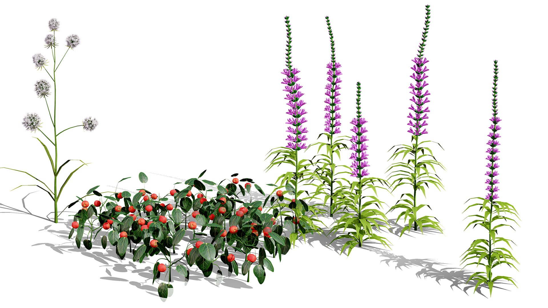 3D 106 North American Plants Wildflowers Shrubs  Vines Pack https://p.turbosquid.com/ts-thumb/LY/48xJ73/ij/northamericanspecies1/jpg/1786368999/1920x1080/fit_q87/6dac564c7f4afca26703530c11a29e2d33aa47e8/northamericanspecies1.jpg