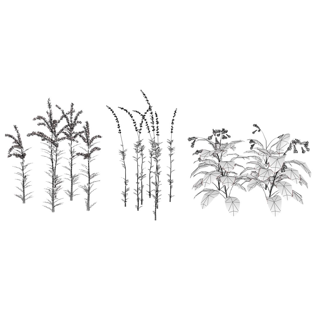 3D 106 North American Plants Wildflowers Shrubs  Vines Pack https://p.turbosquid.com/ts-thumb/LY/48xJ73/kh/northamericanwildflowers012/jpg/1786369024/1920x1080/fit_q87/05c5f73b95d2cbd5bb497b1fe7350aec1b164dd2/northamericanwildflowers012.jpg