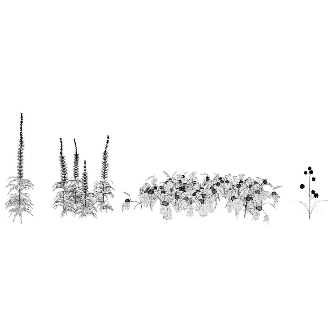 3D 106 North American Plants Wildflowers Shrubs  Vines Pack https://p.turbosquid.com/ts-thumb/LY/48xJ73/n3/northamericanspecies2/jpg/1786369021/1920x1080/fit_q87/8b91a8f225c293ffa0aa02dbce75810188c1e041/northamericanspecies2.jpg
