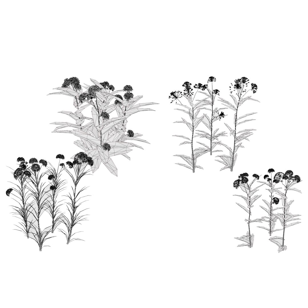 3D 106 North American Plants Wildflowers Shrubs  Vines Pack https://p.turbosquid.com/ts-thumb/LY/48xJ73/o4/asclepiasspeciesbundle3dmax5/jpg/1786369013/1920x1080/fit_q87/a6cc4a5693673f429f39514acb983d36d6ba9ec4/asclepiasspeciesbundle3dmax5.jpg