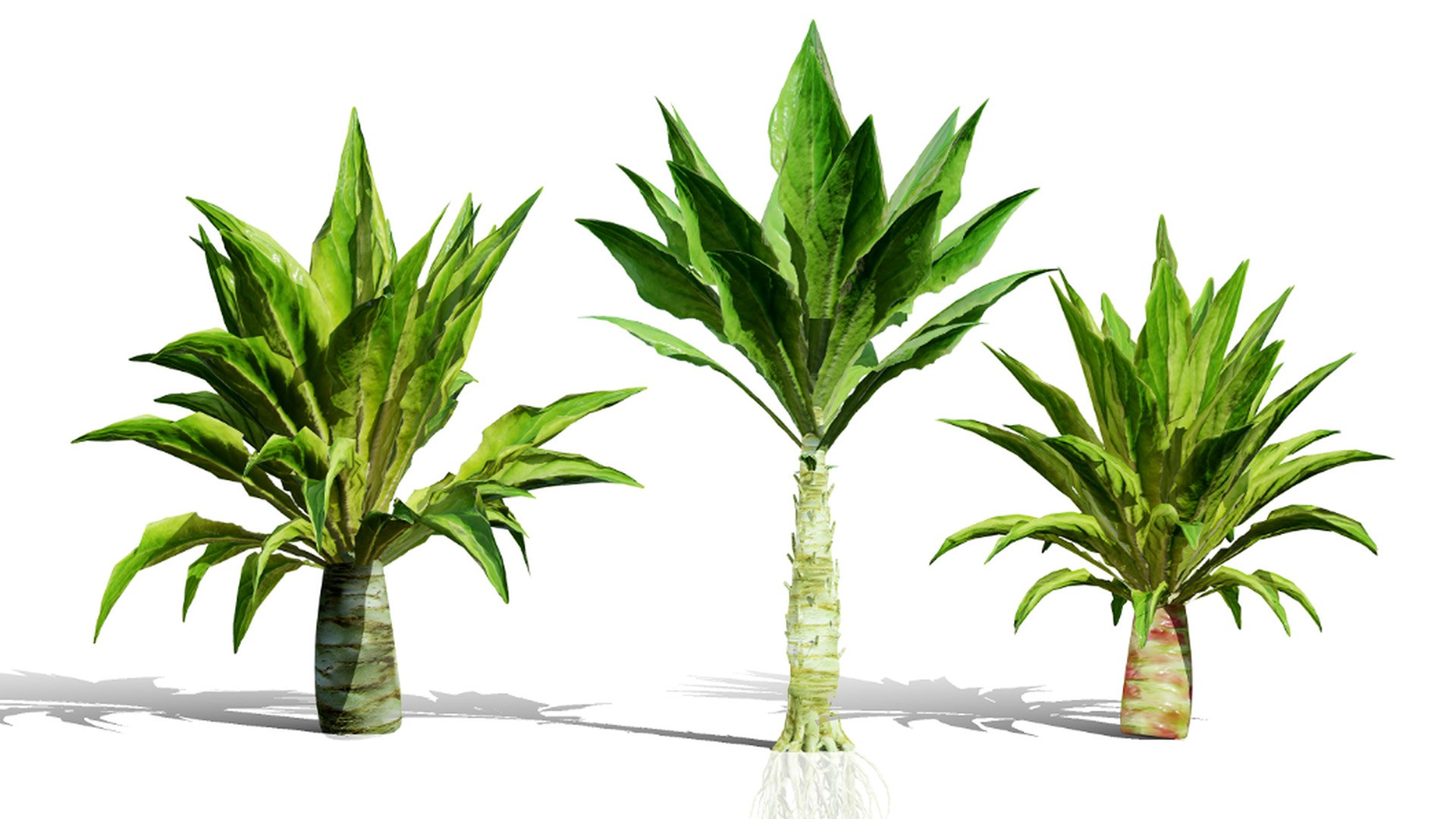 3D 106 North American Plants Wildflowers Shrubs  Vines Pack https://p.turbosquid.com/ts-thumb/LY/48xJ73/oa/00artcoverceltuceplantssquareposter/jpg/1786368986/1920x1080/fit_q87/e2f5e42f5df0d680e33e3073a312314d45d59def/00artcoverceltuceplantssquareposter.jpg