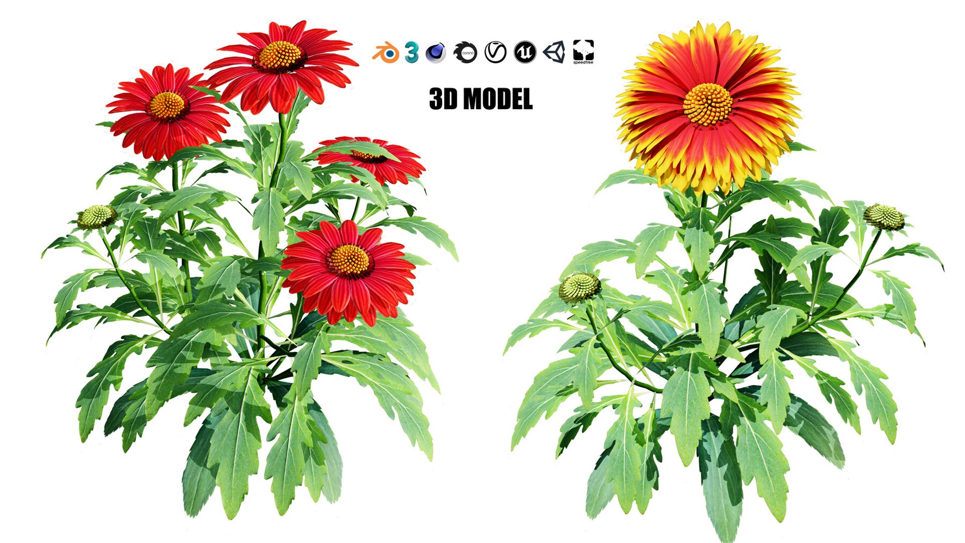 3D 106 North American Plants Wildflowers Shrubs  Vines Pack https://p.turbosquid.com/ts-thumb/LY/48xJ73/qC/arizonaredshadesblanketflowers6/jpg/1786368986/1920x1080/fit_q87/3e20918797c92333327f5533d0a97c8a6c1bc4ea/arizonaredshadesblanketflowers6.jpg