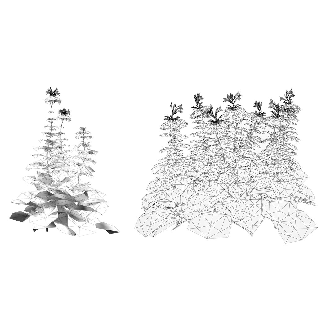 3D 106 North American Plants Wildflowers Shrubs  Vines Pack https://p.turbosquid.com/ts-thumb/LY/48xJ73/wN/scarletbeebalmflowers3dmodel6/jpg/1786369027/1920x1080/fit_q87/414f5c6a84138523915bbfa6a8940b2d0e0cc284/scarletbeebalmflowers3dmodel6.jpg