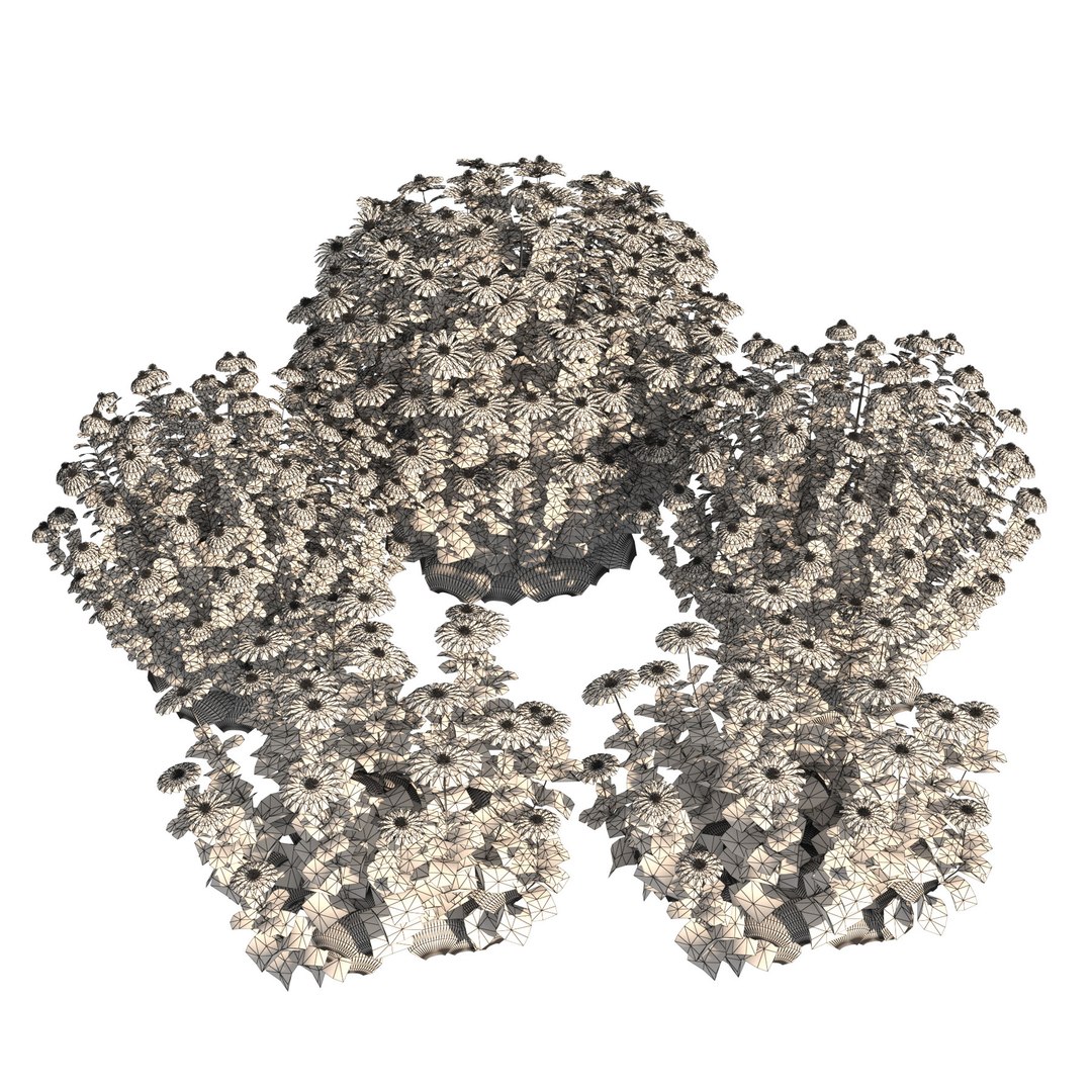 3D 106 North American Plants Wildflowers Shrubs  Vines Pack https://p.turbosquid.com/ts-thumb/LY/48xJ73/wO/coneflowersandblackeyedsusans7/jpg/1786369013/1920x1080/fit_q87/57e918b59c84e0c02bd1bde213dc7e8118904492/coneflowersandblackeyedsusans7.jpg