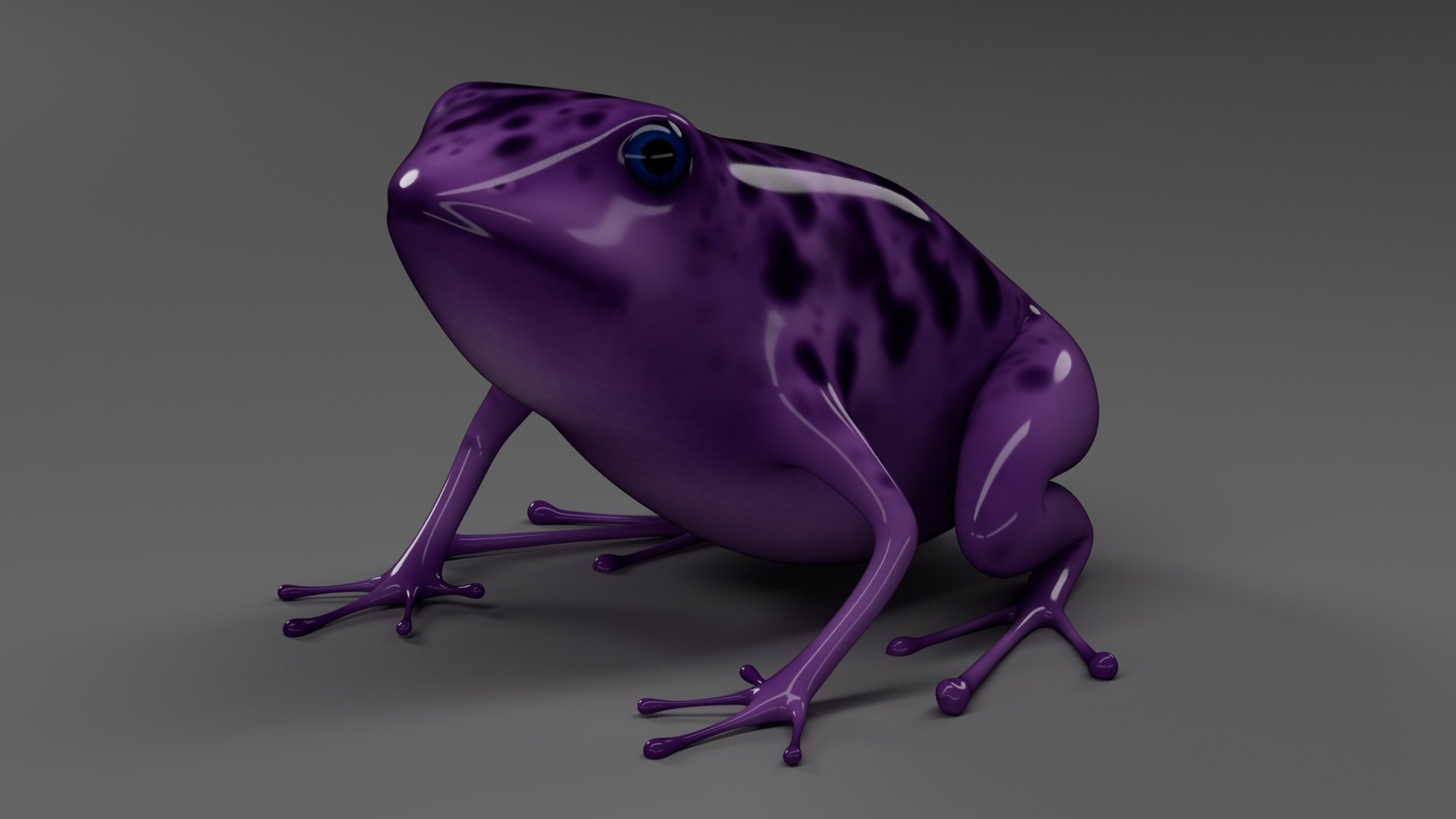 frog with purple on it