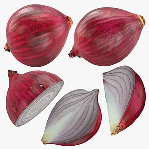 3D model Red Onion Collection