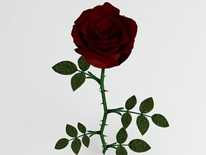 3D model red rose