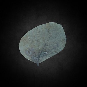 Low Poly Leaf 030