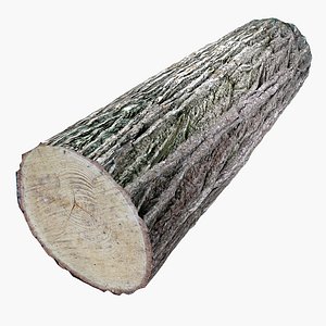 Wood Log_rar