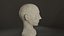 Head Sculpt