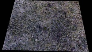 3D ground frosted grass terrain patch PBR photogrammetry model