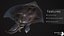 Stingray lowpoly model  underwater creatures  ocean monster fish model  low poly fish 3D Art