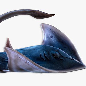 Stingray lowpoly model  underwater creatures  ocean monster fish model  low poly fish 3D Art