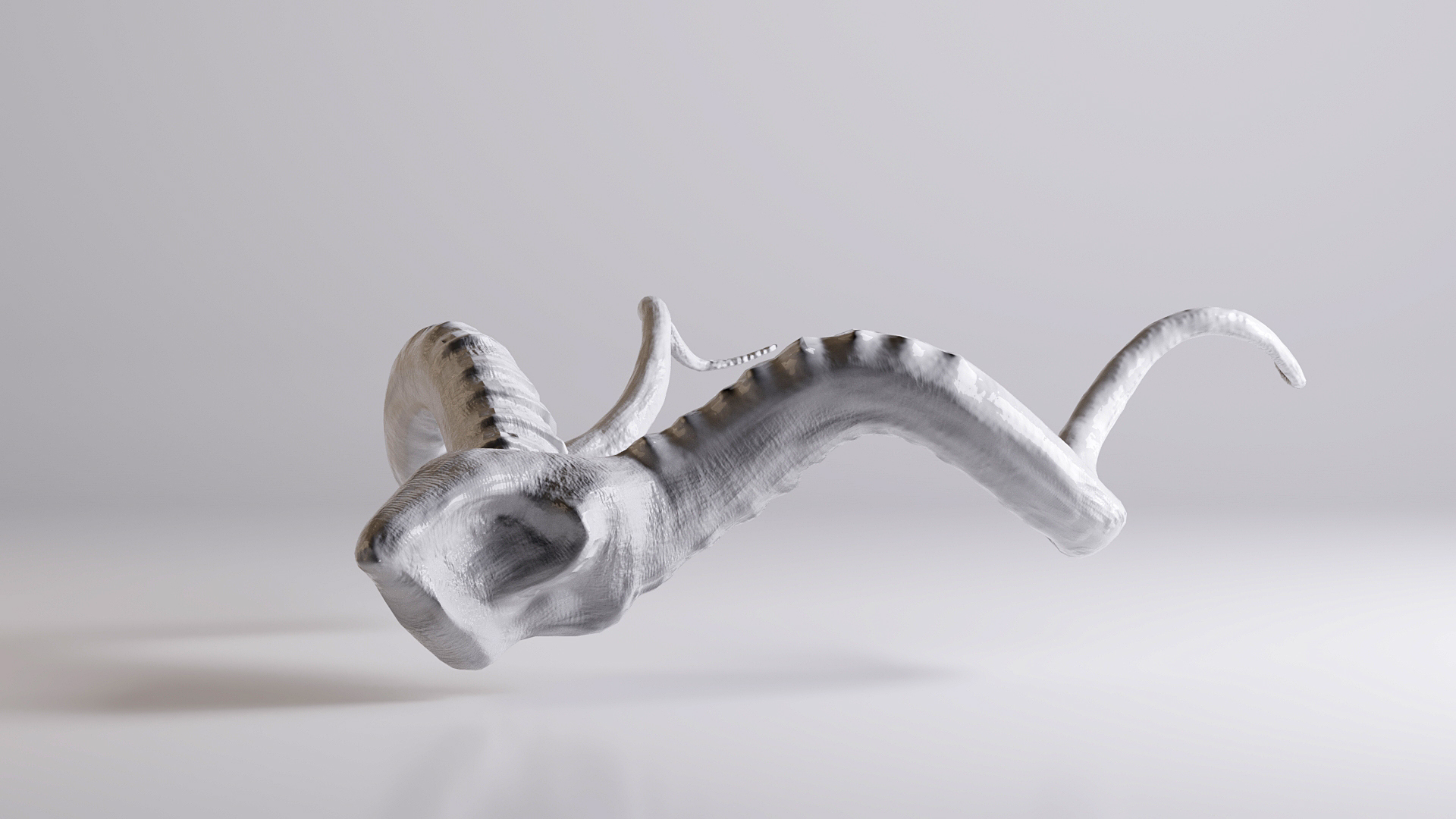 3D Horn V1 Interior Decor https://p.turbosquid.com/ts-thumb/LZ/DaUbyr/ar/bull/jpg/1661970083/1920x1080/turn_fit_q99/81f4e0a774afe245de2e5eef133d067cb2b90615/bull-1.jpg