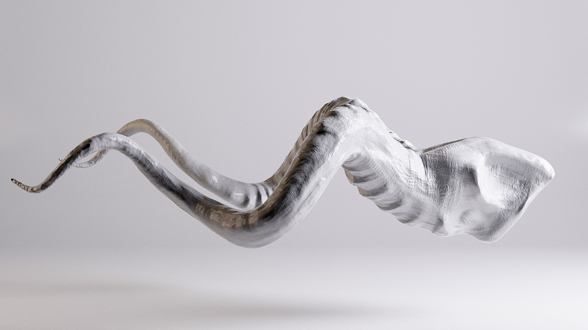 3D Horn V1 Interior Decor https://p.turbosquid.com/ts-thumb/LZ/DaUbyr/tk/bulls1_05/jpg/1661956142/1920x1080/fit_q87/1f14d8004f06defb8d660dd19af557b0b84b544a/bulls1_05.jpg