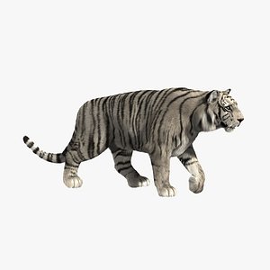 White Tiger (FUR) (ANIMATED)