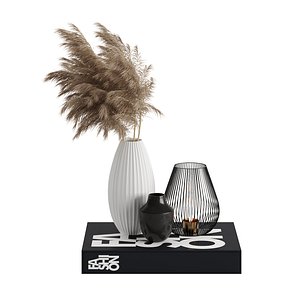 3D model Decorative Set  With Dried Flowers - Vase - Candle and Book