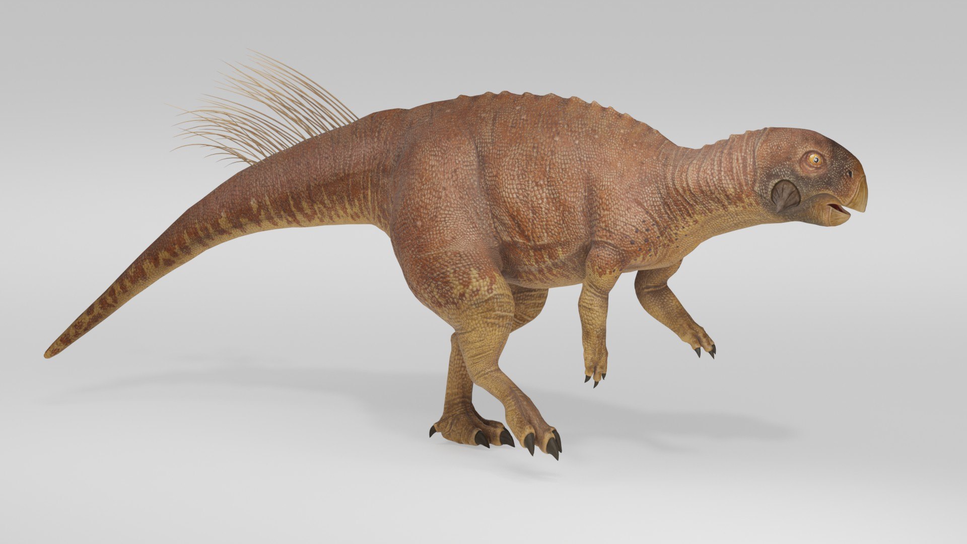 Realistic Prehistoric Psittacosaurus Dinosaur model https://p.turbosquid.com/ts-thumb/LZ/hrslNz/t2/preview10009/jpg/1780494818/1920x1080/fit_q87/b59d01b557d57a466ae6edf96a5fea9ff13a4891/preview10009.jpg