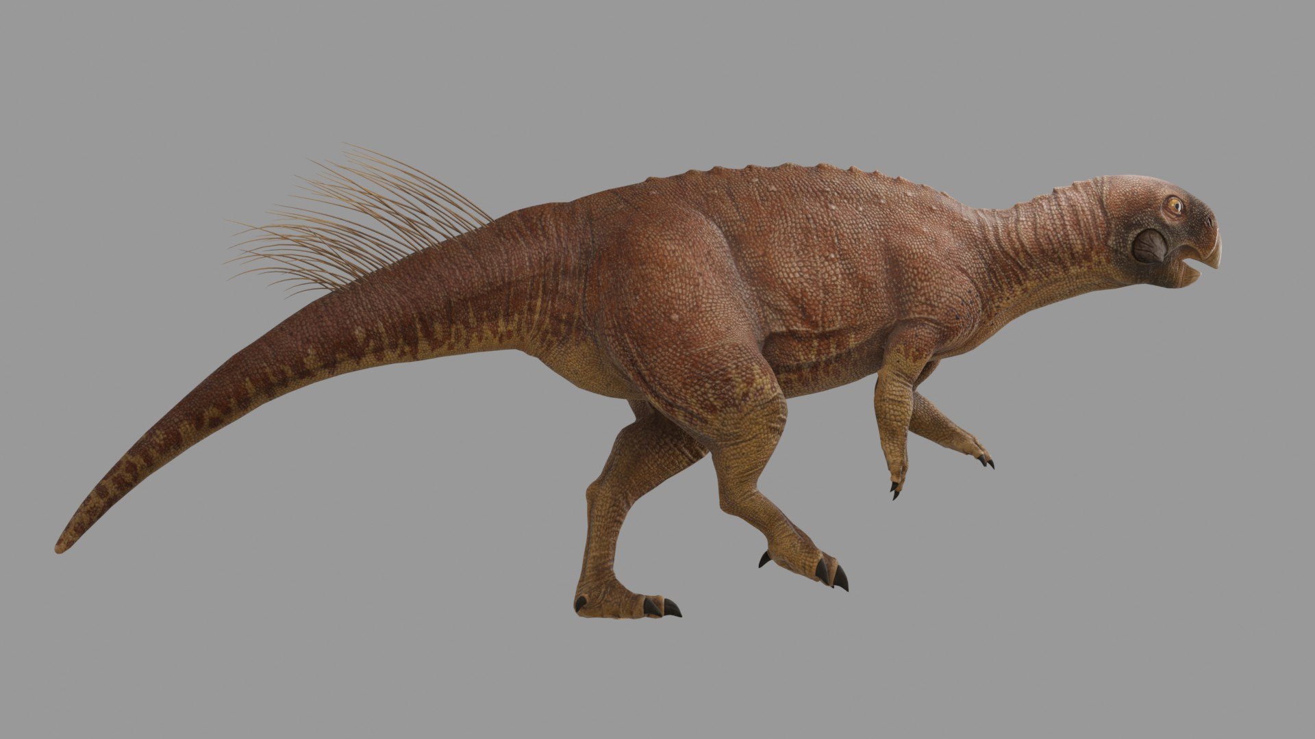 Realistic Prehistoric Psittacosaurus Dinosaur model https://p.turbosquid.com/ts-thumb/LZ/hrslNz/w8/preview10011/jpg/1780494819/1920x1080/fit_q87/6fd0a9a0592368040cdfafb4dd5fe4f7d5dd6514/preview10011.jpg