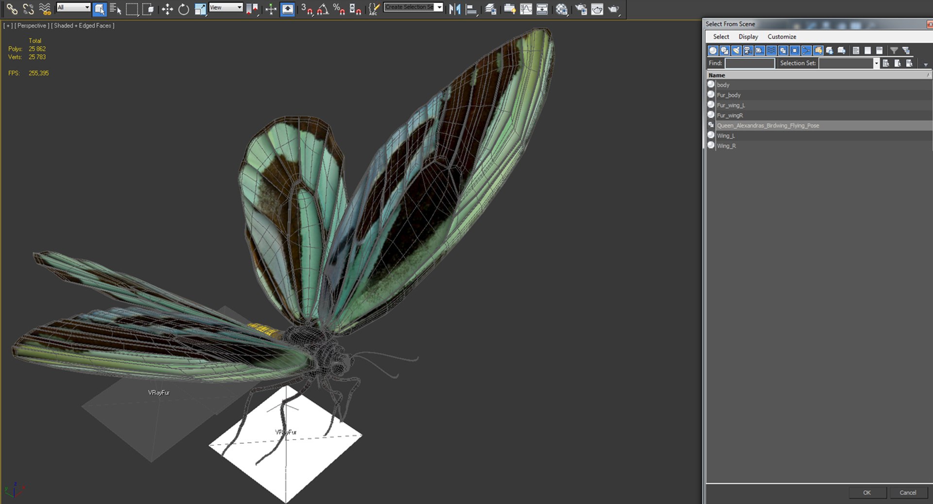 3D queen alexandras birdwing flying https://p.turbosquid.com/ts-thumb/LZ/xkGGAV/3ub0QIuf/queenalexandrasbirdwingflyingposewithfur3dsmodel012/jpg/1496813049/1920x1080/fit_q87/3de33cd0b0a6369d7bd016faeaad06e3926bc425/queenalexandrasbirdwingflyingposewithfur3dsmodel012.jpg