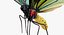 퀸 알렉산드라 Birdwing 비행 포즈와 모피 3D 모델