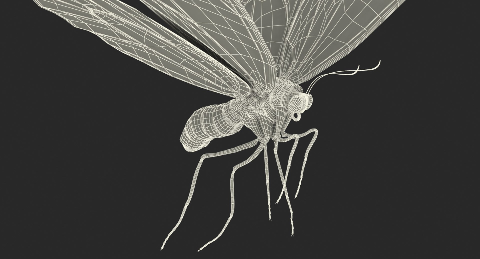 3D queen alexandras birdwing flying https://p.turbosquid.com/ts-thumb/LZ/xkGGAV/zMJ8K1E1/queenalexandrasbirdwingflyingposewithfur3dsmodel014/jpg/1496813049/1920x1080/fit_q87/3d89dc4f6b51f3178eede3448b03598027a7903b/queenalexandrasbirdwingflyingposewithfur3dsmodel014.jpg