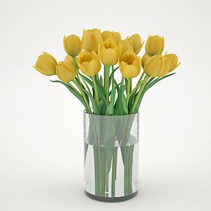 3d yellew tulips model
