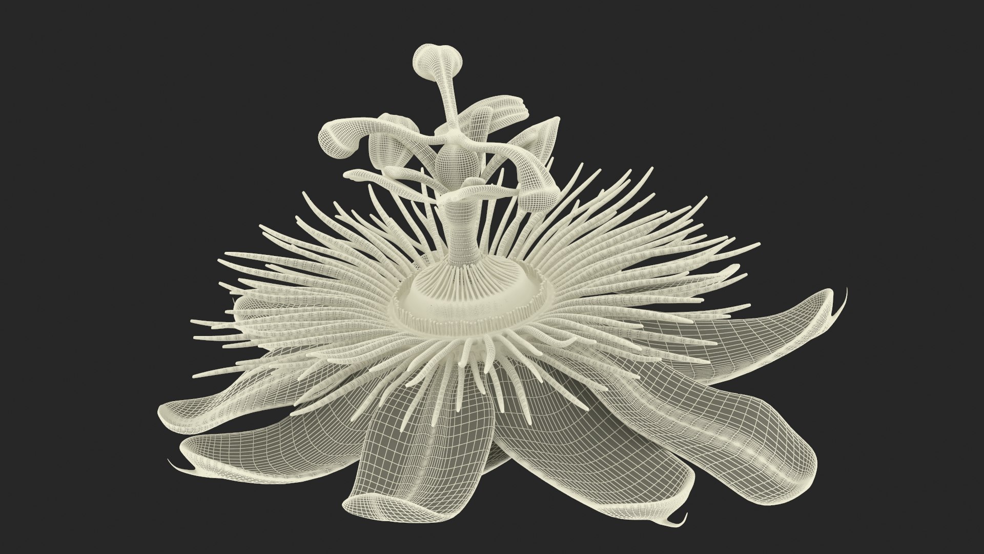 Tropical Coconut Drink with Passion Flower 3D model https://p.turbosquid.com/ts-thumb/La/7dHOXN/0H/tropicalcoconutdrinkwithpassionflower3dmodel020/jpg/1727752831/1920x1080/fit_q87/fc070b2e699b7b731801ca91da4443970f27c6aa/tropicalcoconutdrinkwithpassionflower3dmodel020.jpg
