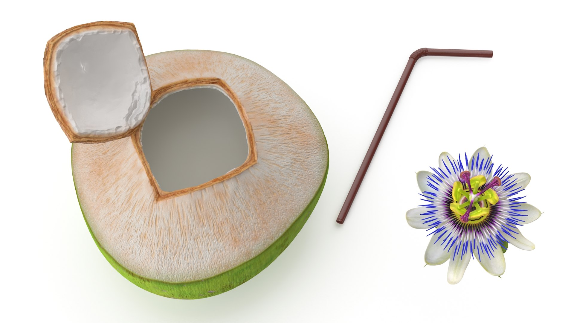 Tropical Coconut Drink with Passion Flower 3D model https://p.turbosquid.com/ts-thumb/La/7dHOXN/Bs/tropicalcoconutdrinkwithpassionflower3dmodel007/jpg/1727752786/1920x1080/fit_q87/864a6d45387d534cfddd2f88a22c4a18e5a589d7/tropicalcoconutdrinkwithpassionflower3dmodel007.jpg