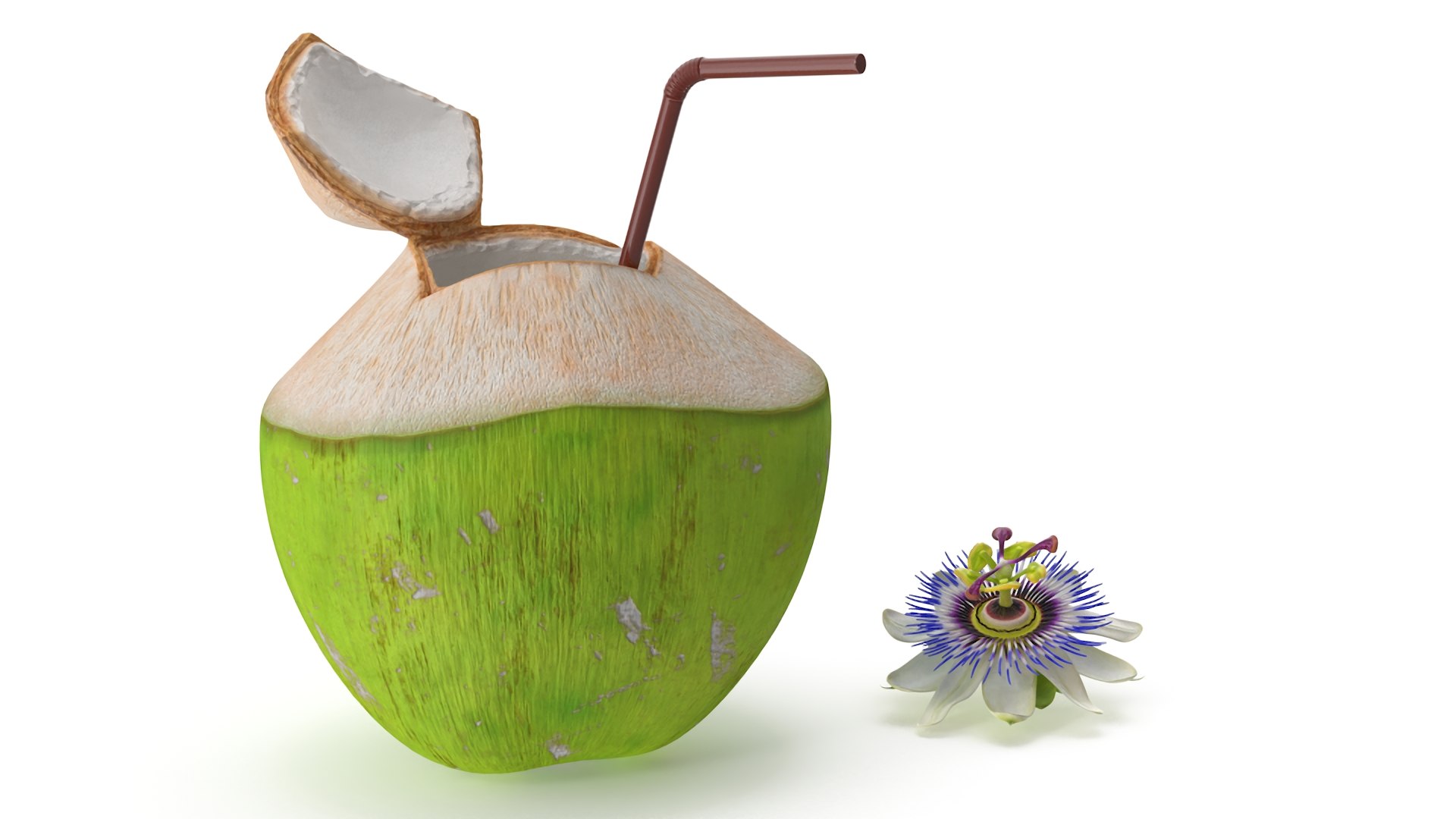 Tropical Coconut Drink with Passion Flower 3D model https://p.turbosquid.com/ts-thumb/La/7dHOXN/S4/tropicalcoconutdrinkwithpassionflower3dmodel010/jpg/1727752795/1920x1080/fit_q87/6c2045bfe78b2b55664de396741c197684ab167f/tropicalcoconutdrinkwithpassionflower3dmodel010.jpg