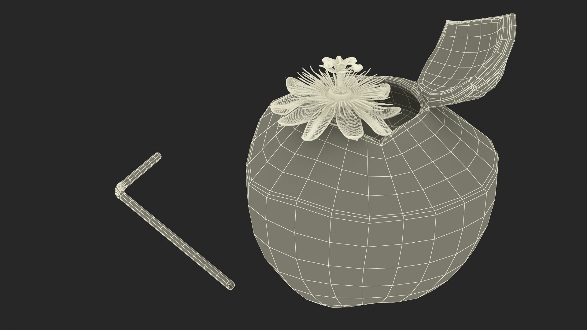 Tropical Coconut Drink with Passion Flower 3D model https://p.turbosquid.com/ts-thumb/La/7dHOXN/Ul/tropicalcoconutdrinkwithpassionflower3dmodel023/jpg/1727752842/1920x1080/fit_q87/7a76120d8ade70de0ec170dd5fe7652d3ce8d7e1/tropicalcoconutdrinkwithpassionflower3dmodel023.jpg