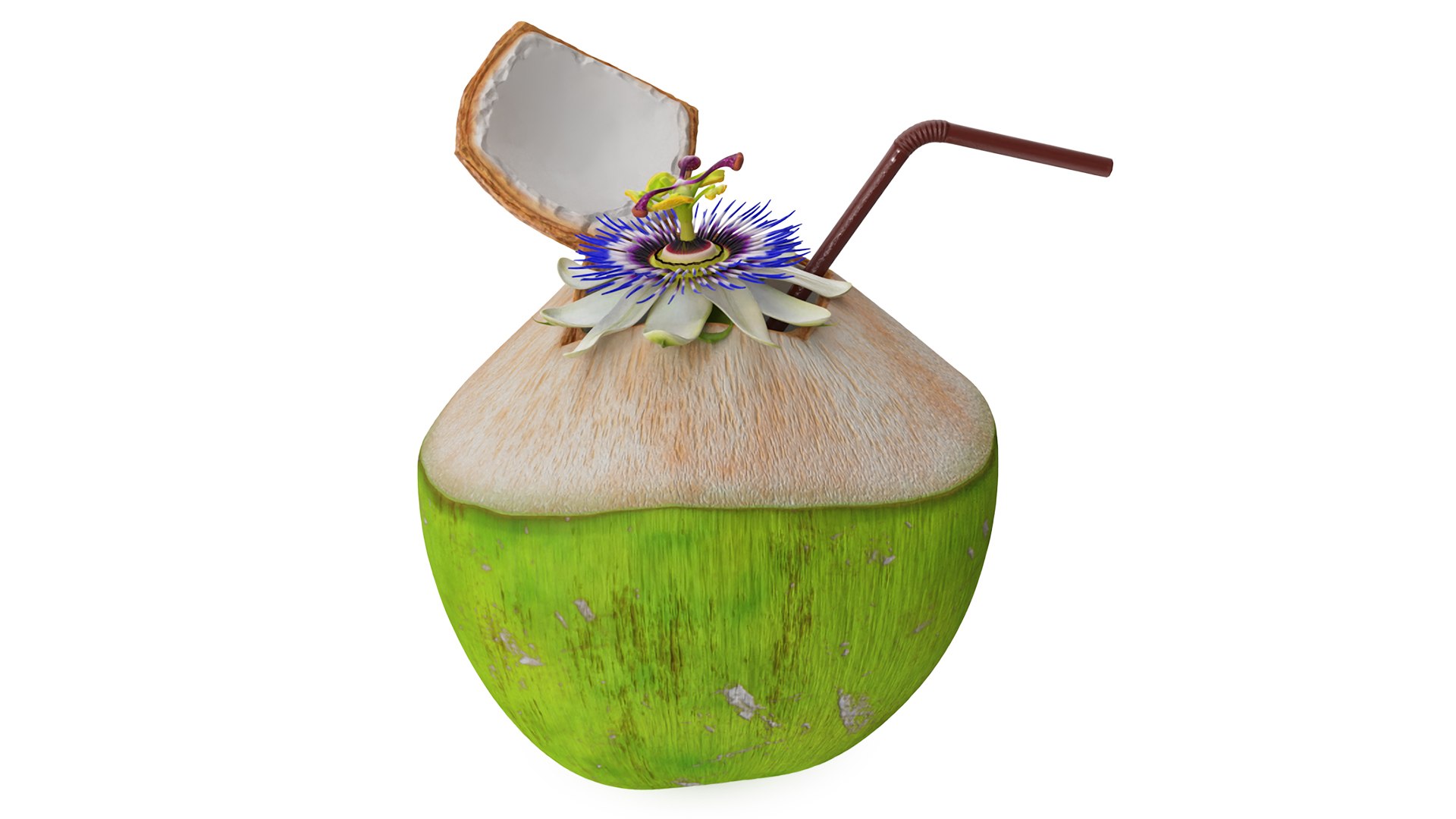 Tropical Coconut Drink with Passion Flower 3D model preview