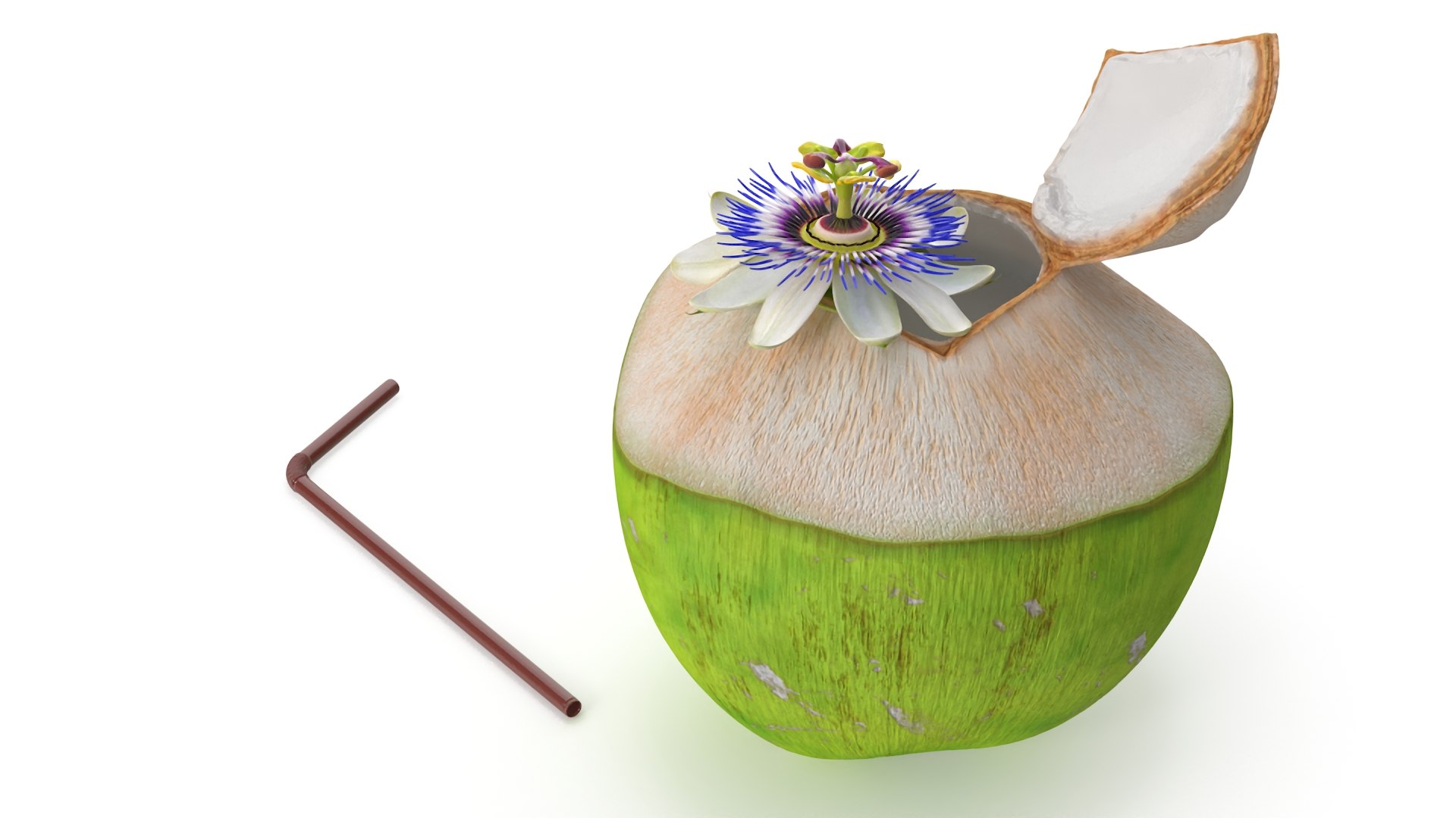Tropical Coconut Drink with Passion Flower 3D model https://p.turbosquid.com/ts-thumb/La/7dHOXN/x0/tropicalcoconutdrinkwithpassionflower3dmodel011/jpg/1727752799/1920x1080/fit_q87/bc38ef9a3c0f3a09642fb5f0585aa5130c03ff58/tropicalcoconutdrinkwithpassionflower3dmodel011.jpg